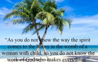 as you do not know the way
