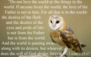 do not love he world