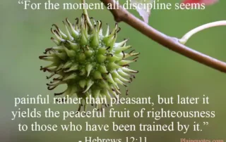 for the moment all discipline
