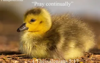 Pray continually