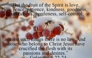 but the fruit of the spirit is love