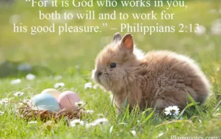 for it is God who works in you