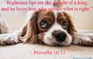 righteous lips