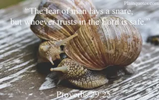 the fear of man
