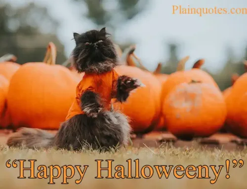 Happy Halloweeny!
