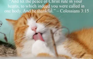 and let the peace of Christ