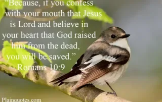 because if you confess