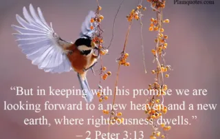 but in keeping with his promise