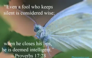 even a fool who keeps silent