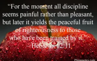 image 2 for the moment all discipline