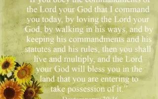if you obey the commandments