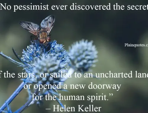 pessimist