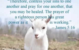 therefore confess your sins to one another