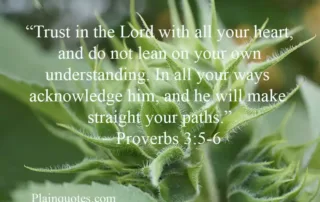 trust in the Lord with all your heart