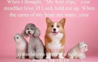 when I thought my foot slips