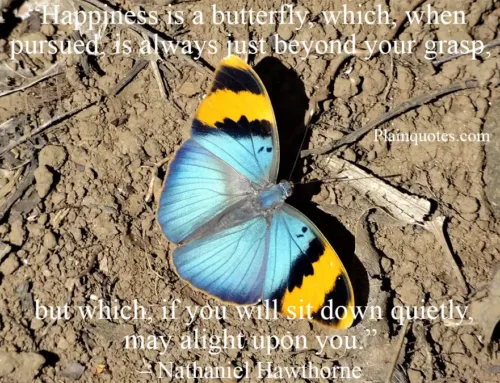 happiness is a butterfly