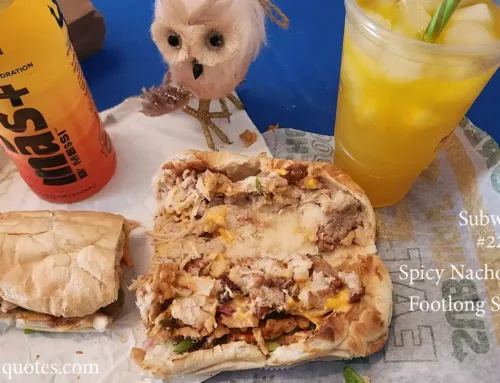 Subway Spicy Nacho Chicken Sandwich