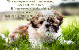 If I can stop one heart from breaking