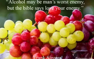 Alcohol may be man’s worst enemy