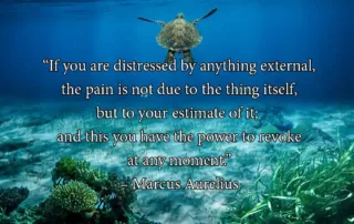 if you are distressed by anything external