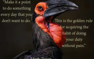 make it a point