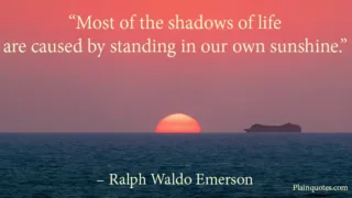 most of the shadows