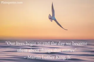 our lives begin