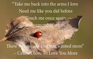 take me back into the arms I love
