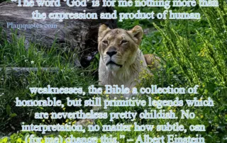 the word God