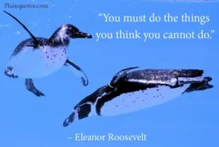 you must do