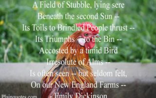 A Field Of Stubble, Lying Sere image poem A Field Of Stubble, Lying Sere image poem
