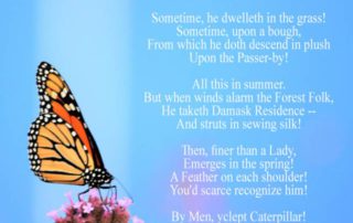 A Fuzzy Fellow, Without Feet poem