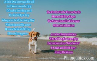 A little Dog that wags his tail poem