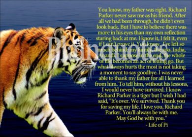 life of pi movie quote picture