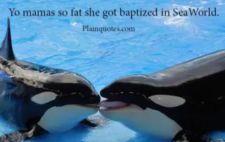 yo mammmas so fat