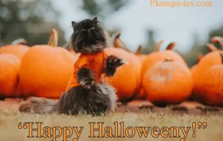 Happy Halloweeny