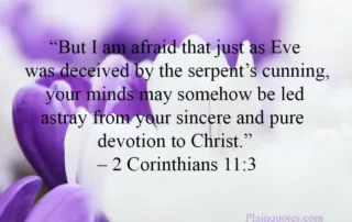 but I am afraid