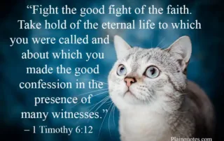 fight the good fight