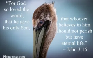 for God so loved the world