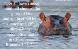for all have sinned