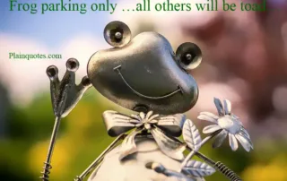 frog parking only