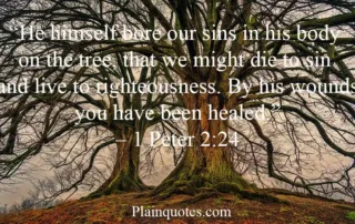 he himself bore our sins