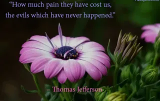 How much pain they have cost us
