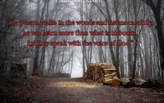 if a person walks in the woods