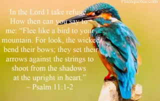 in the Lord I take refuge