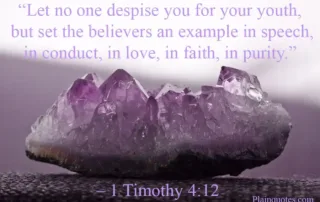 let no one despise