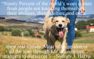 ninety percent