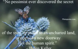 pessimist