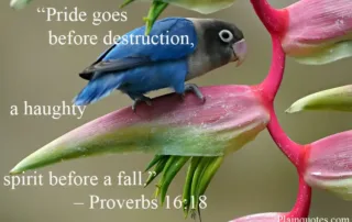 pride goes before destruction