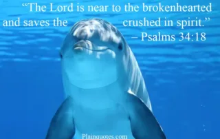 the Lord is near